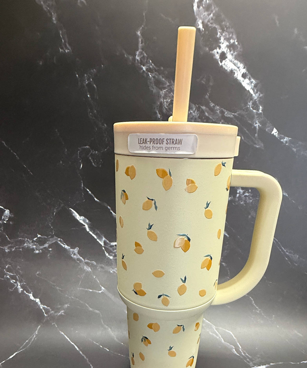Simple Modern 40 oz Trek Tumbler with Handle and Straw Lid