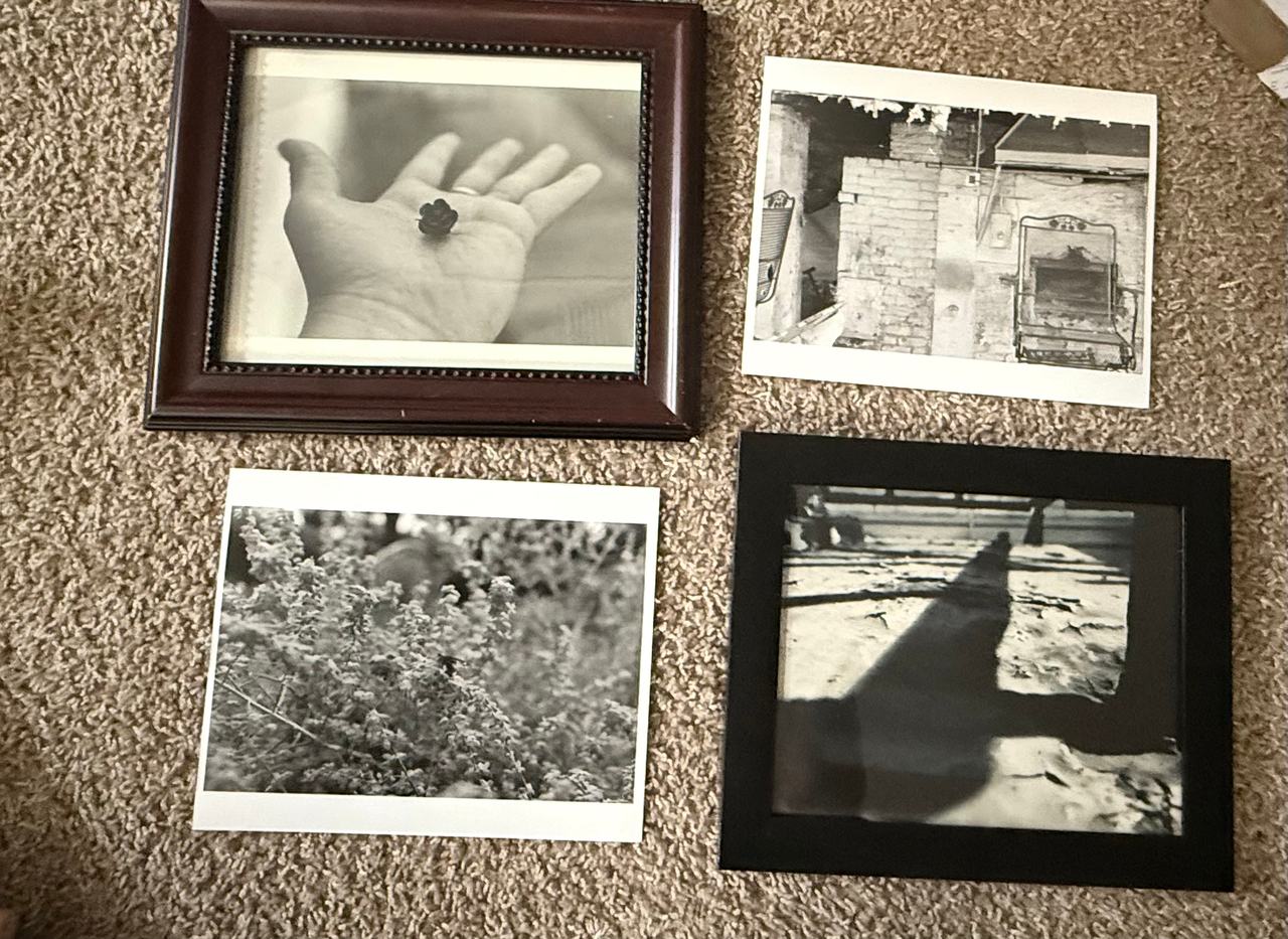 Black and White Art Photography Prints