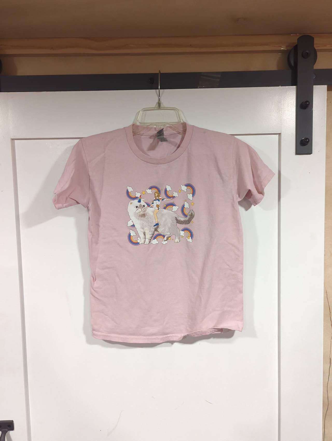 Taylor Swift Meredith Cat Rainbow T-Shirt