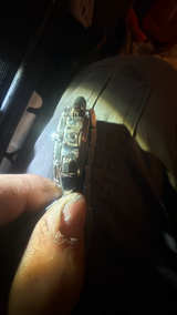 Breitling Chronomat - Image 3
