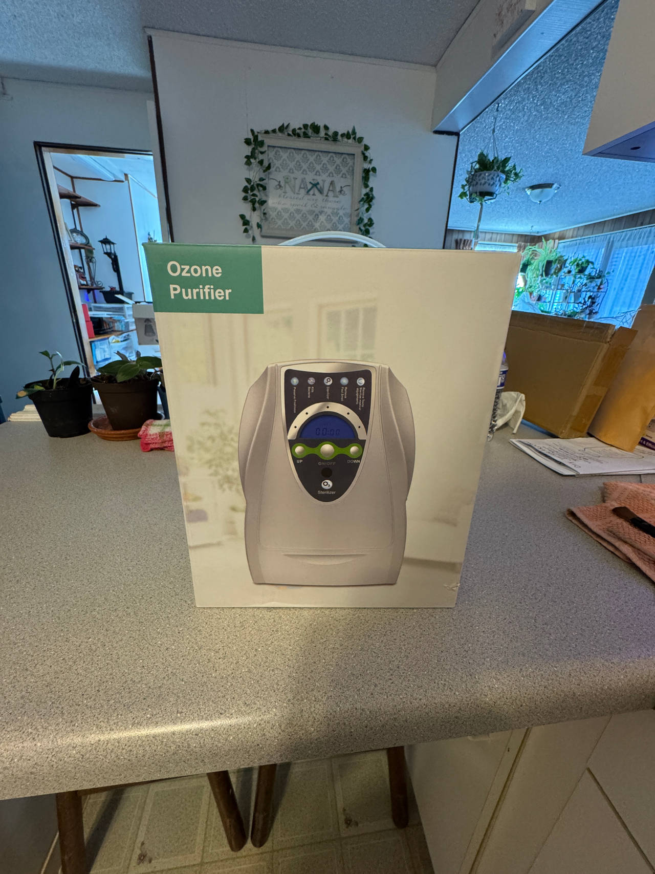 Ozone Purifier