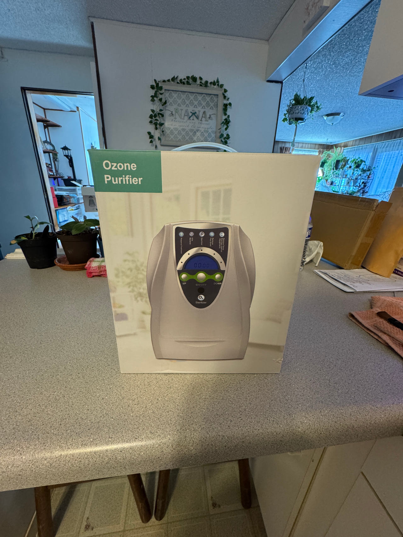 Ozone Purifier