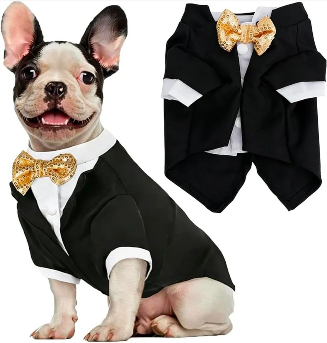 Dog Tuxedo Suit with Gold Sequin Bow Tie