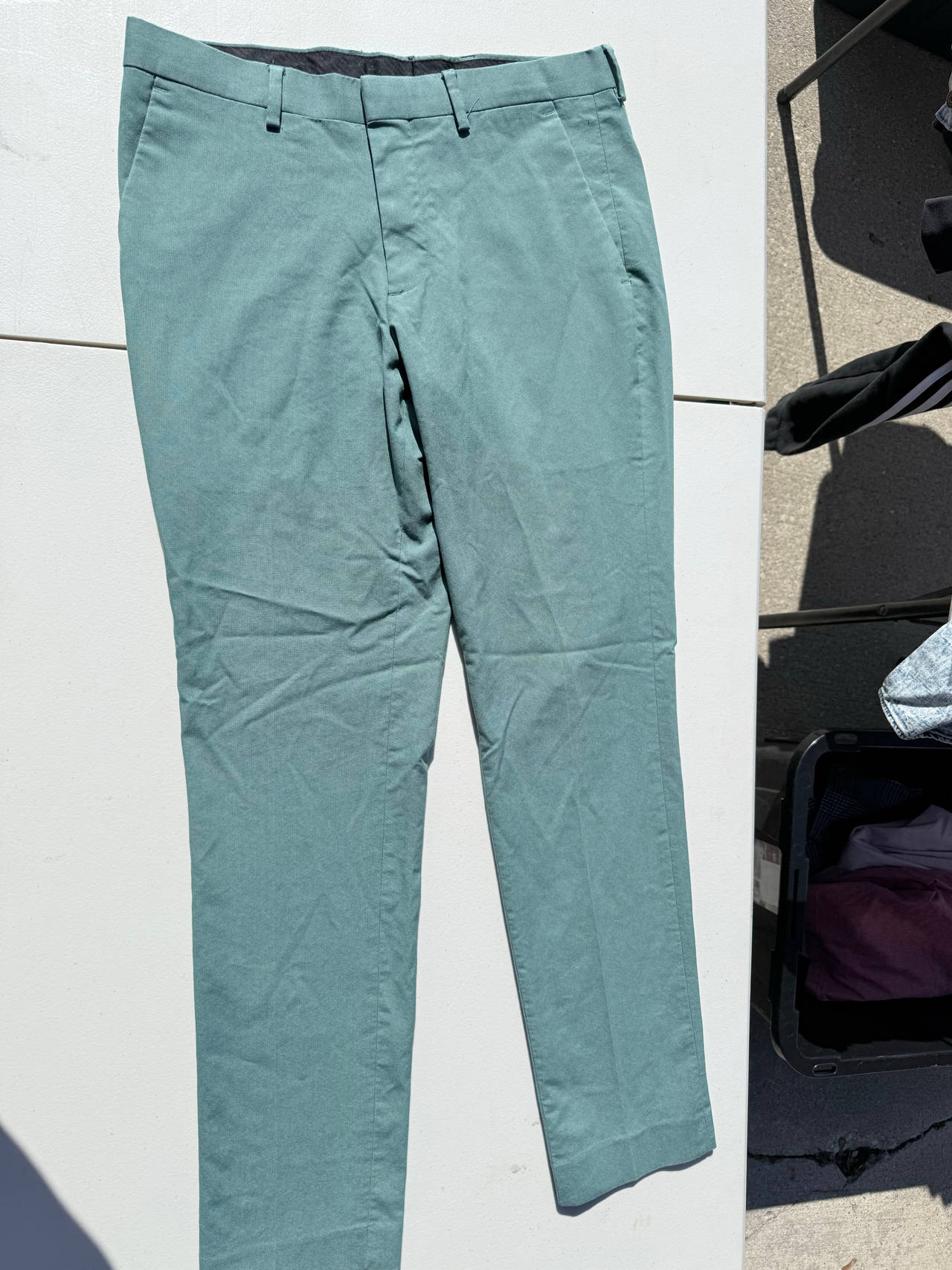 Express dress pants