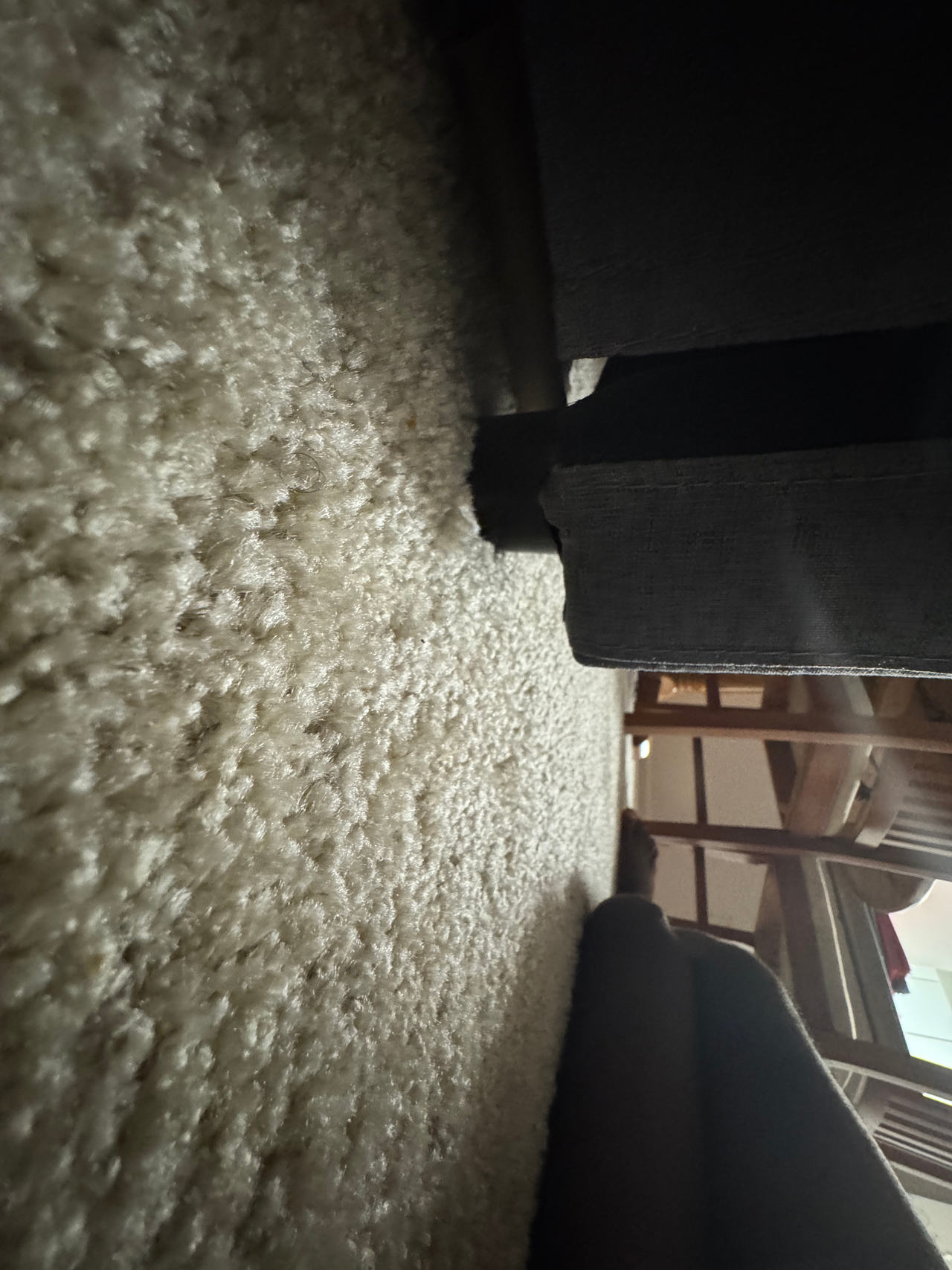 Shag Carpet