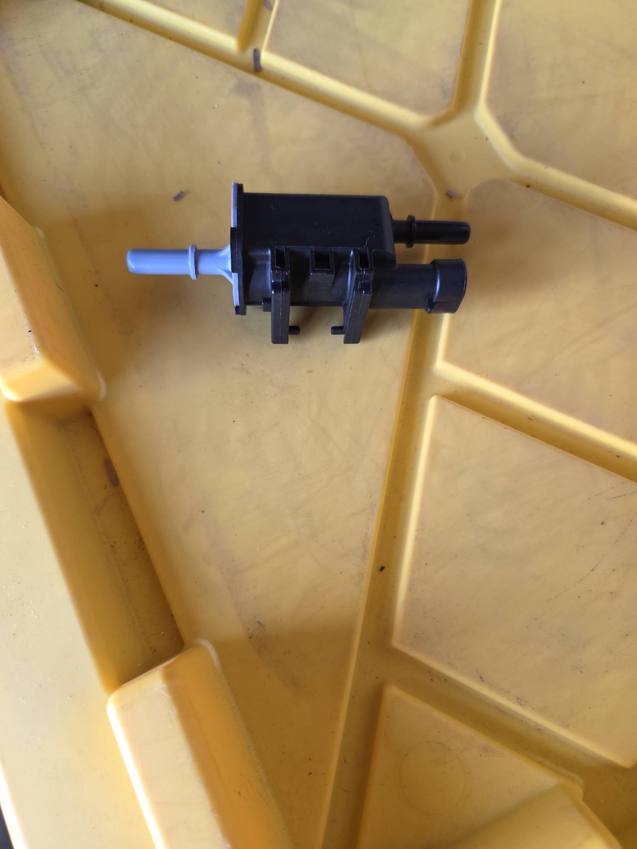 GM Vapor Canister Purge Valve Solenoid 12597561
