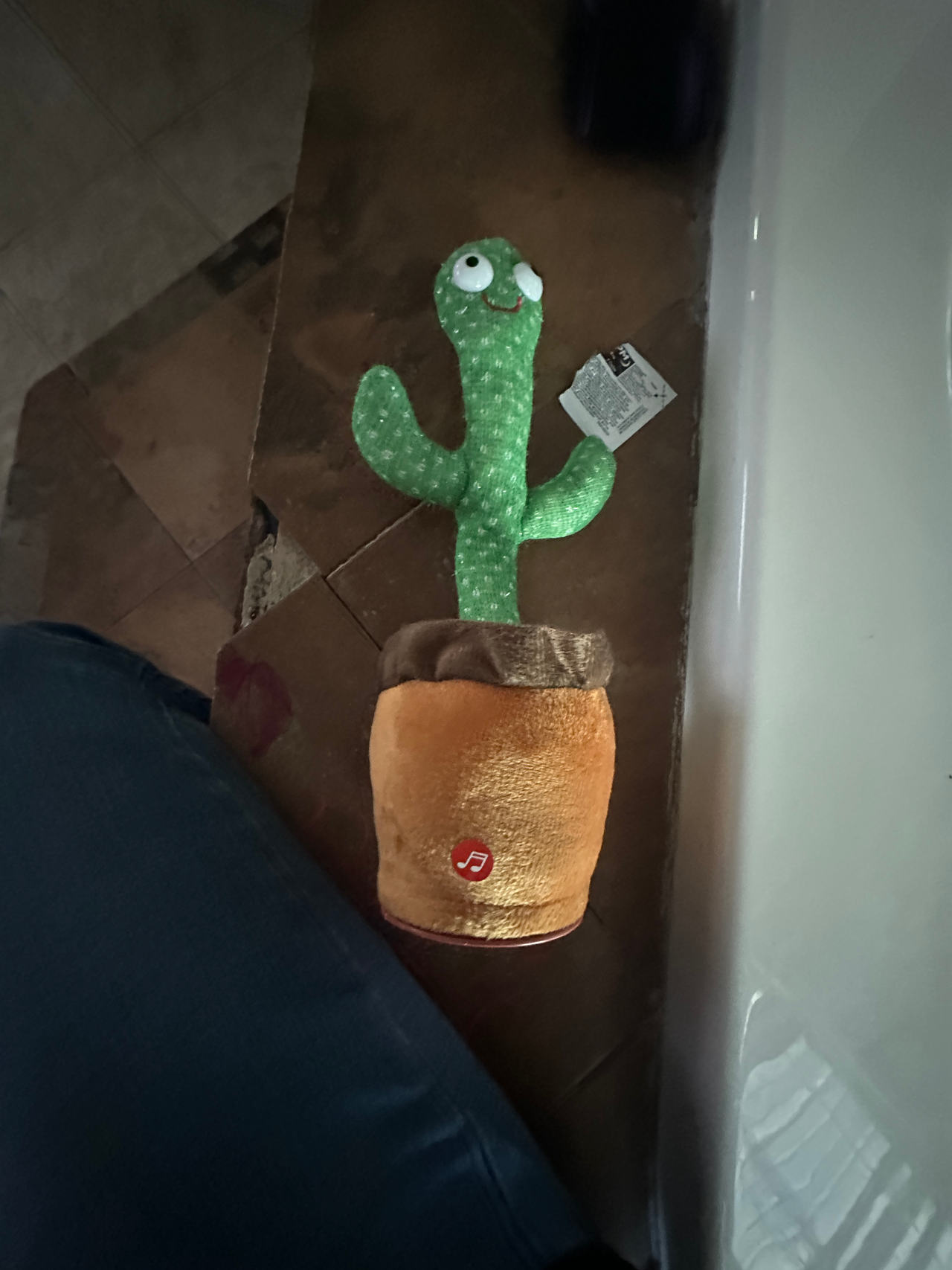 Dancing Cactus Toy