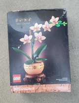 LEGO Botanical Collection Mini Orchid 10343 - Image 2