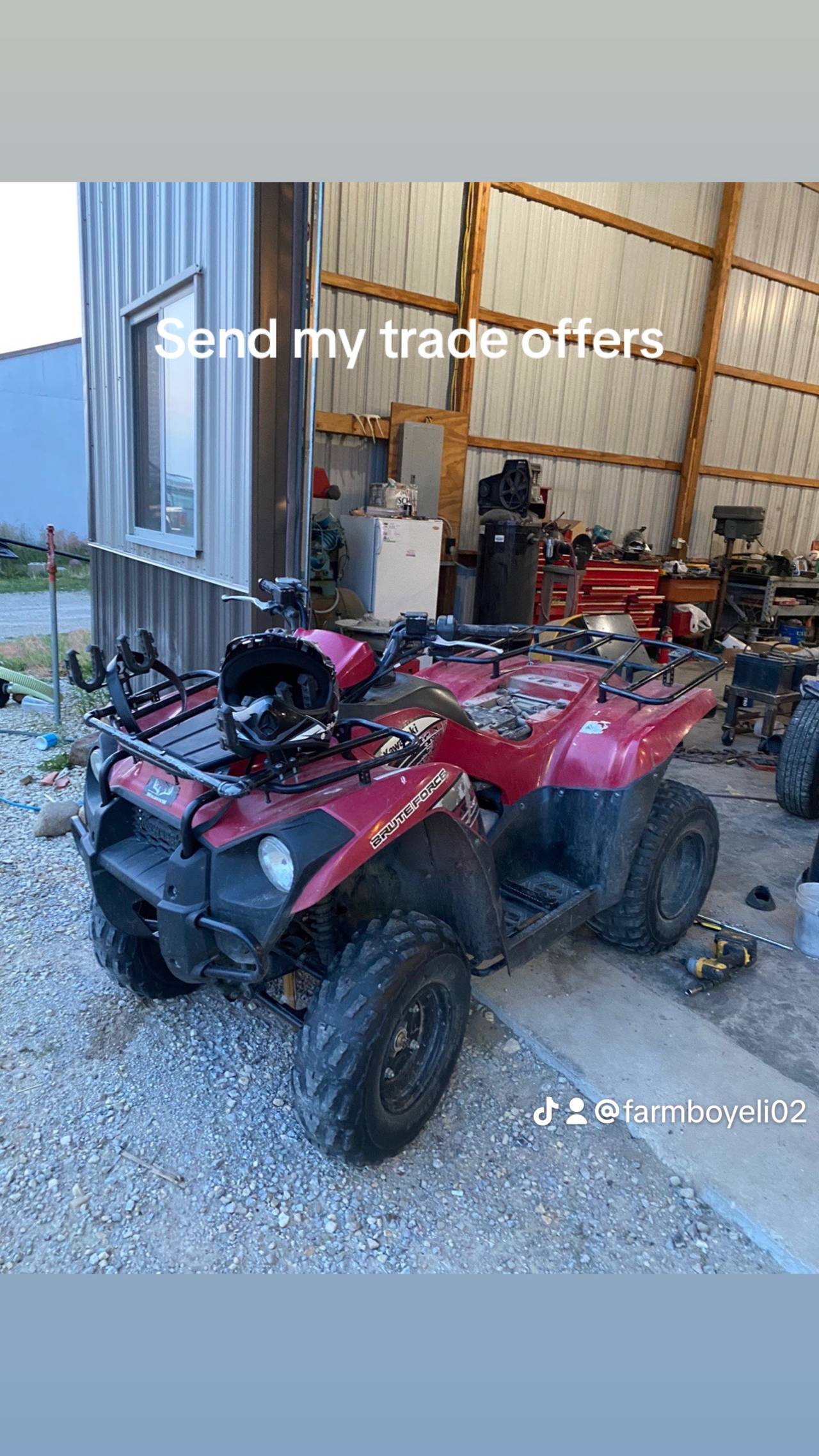 Kawasaki brute force 300
