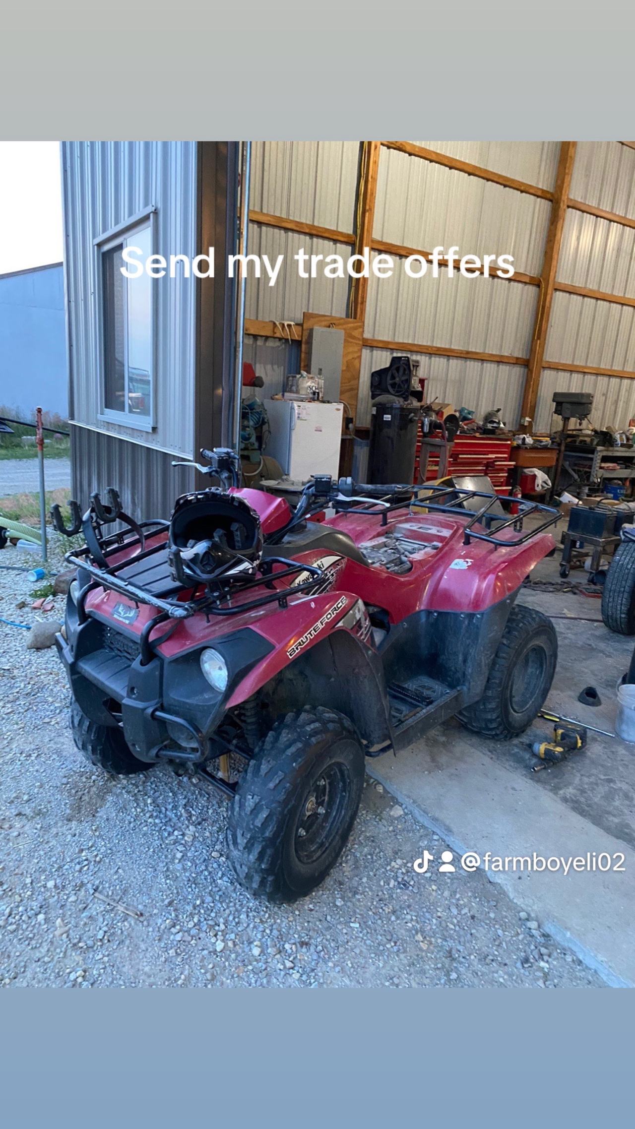 Kawasaki brute force 300
