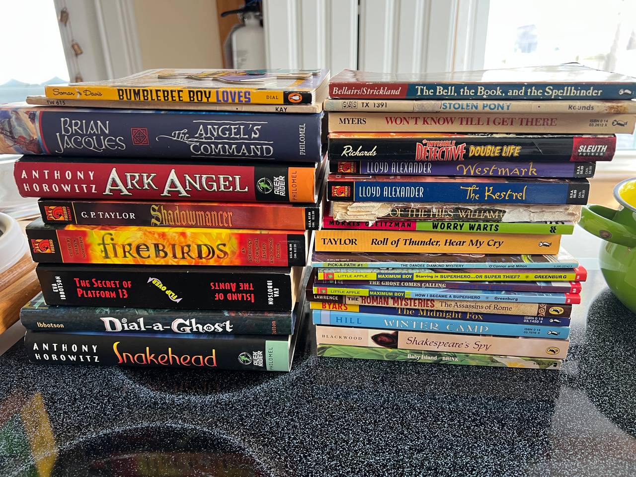 Bundle Lot of 25+ Children's and Young Adult Books