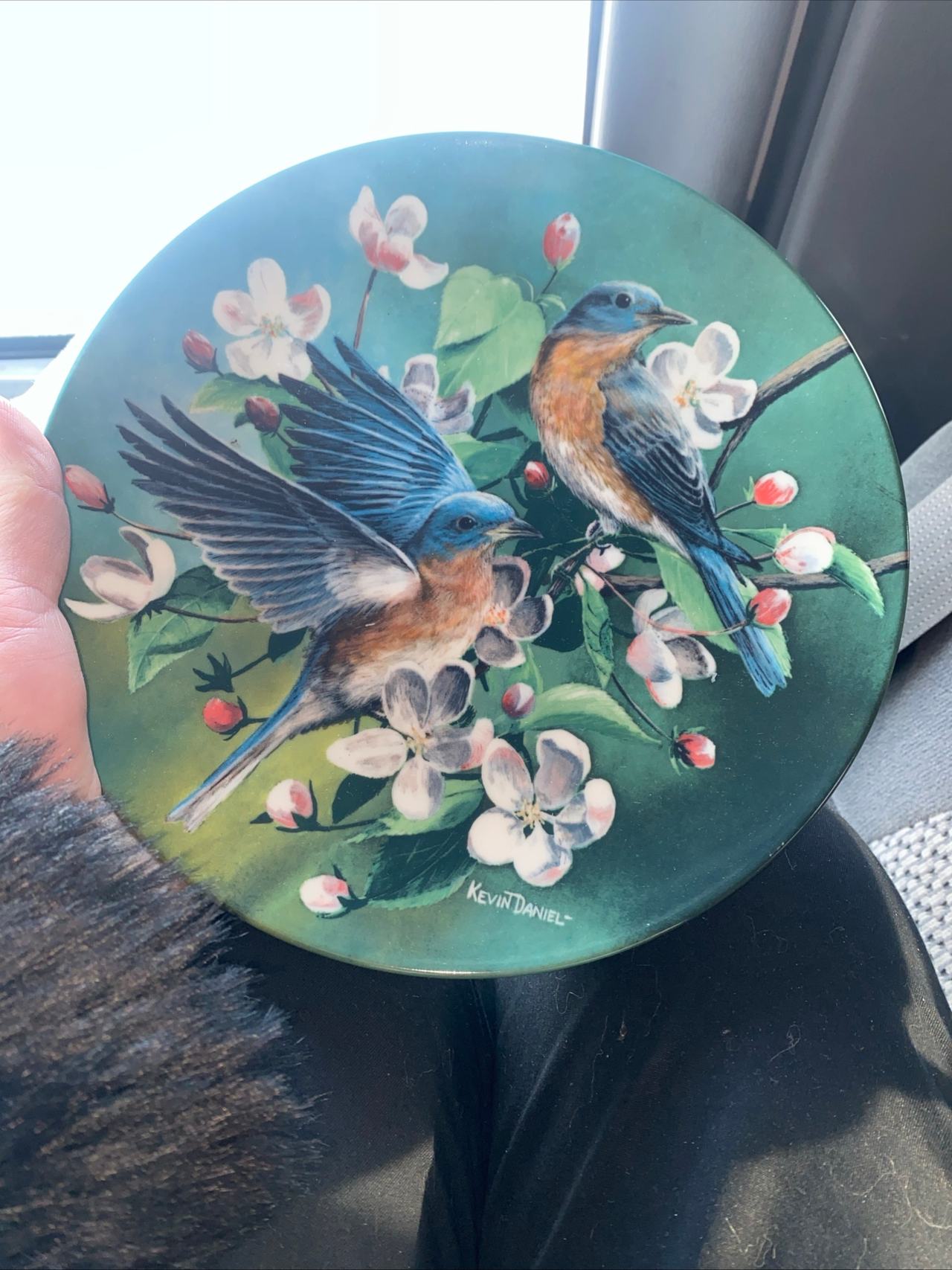 Knowles Kevin Daniel Eastern Bluebird Plate