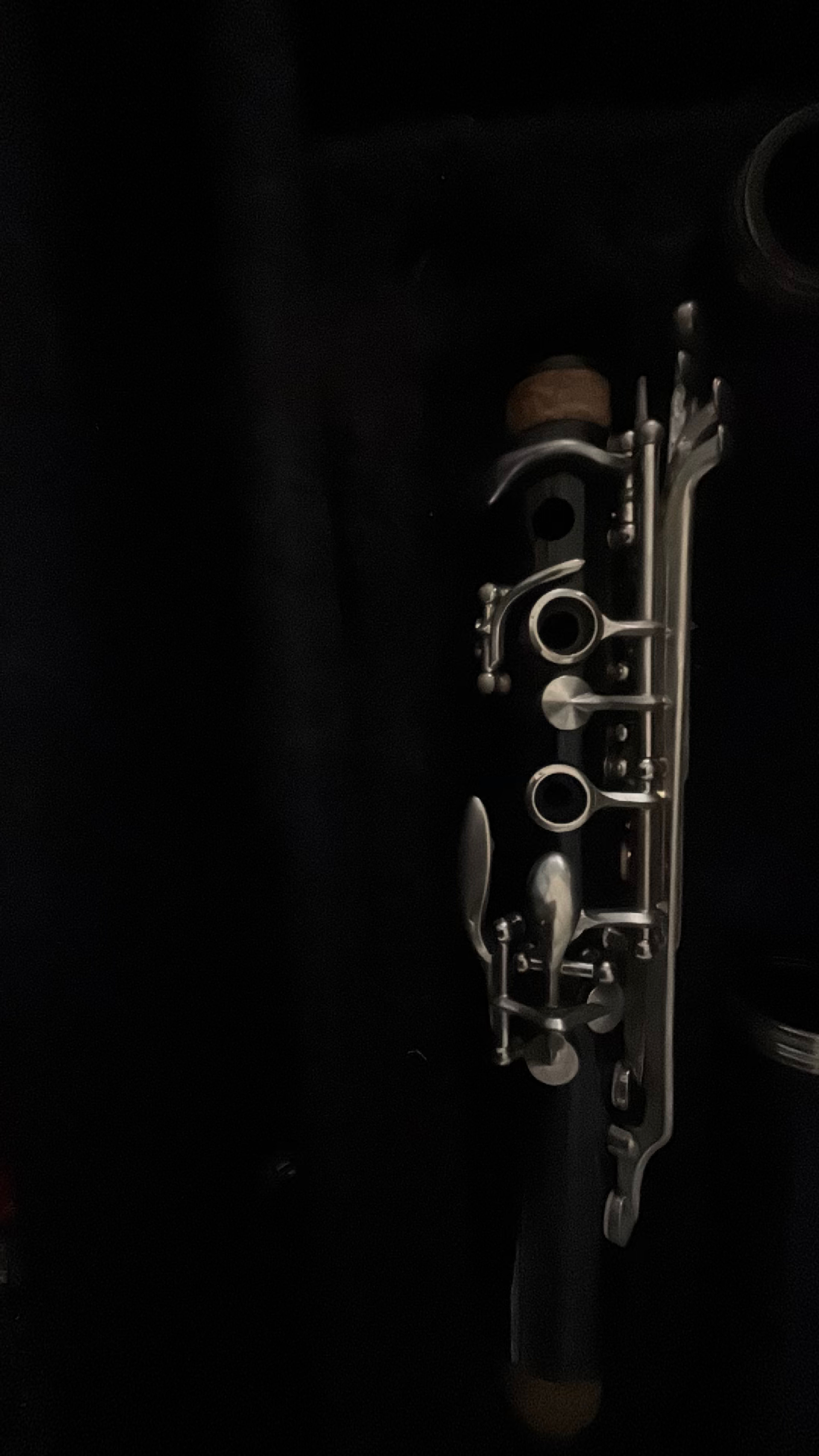 Buffet Crampon Professional Bb Clarinet - Image 3