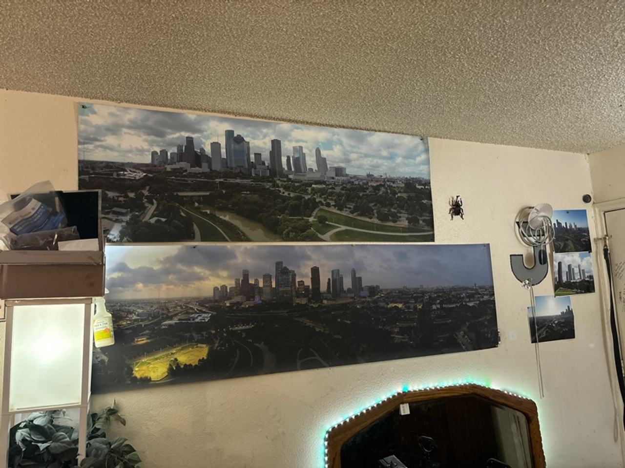 Houston Skyline Canvas Wall Art