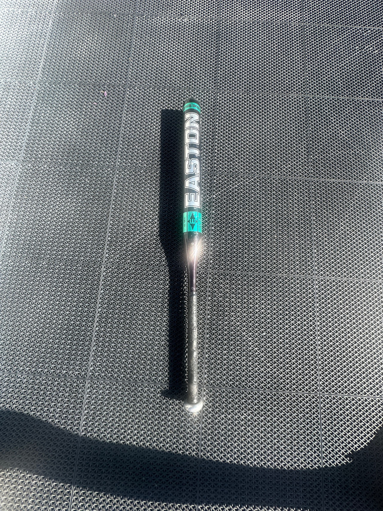 Easton Baseball Bat