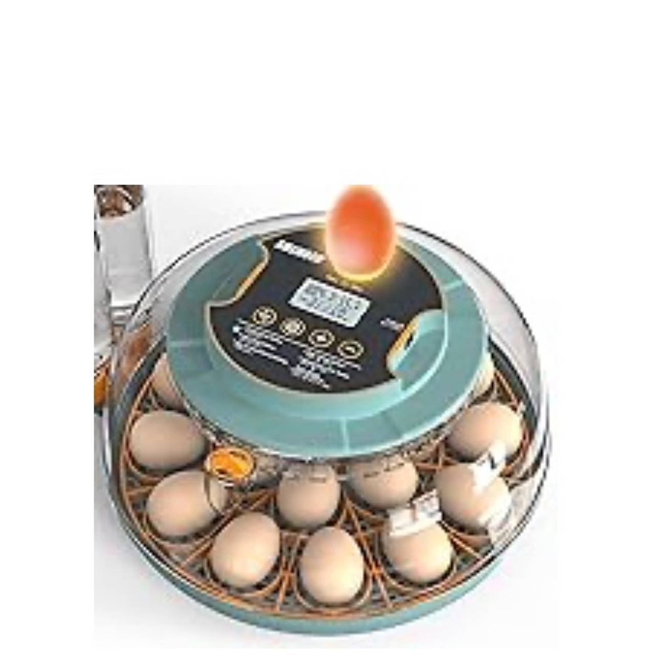 Egg Incubator