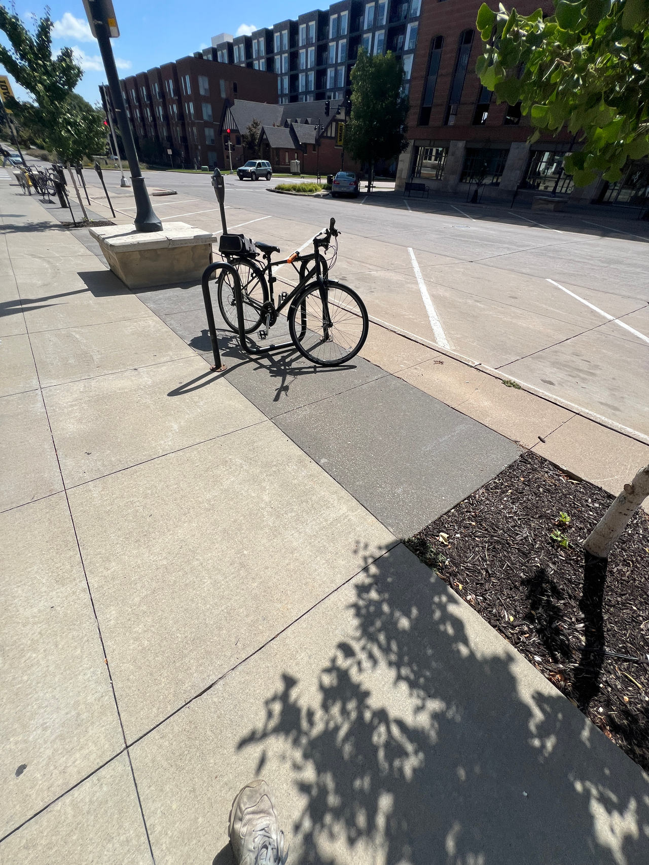 Hybrid Bicycle