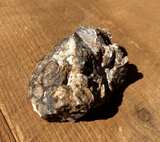 Stromatolite Fossil Specimen - Image 3