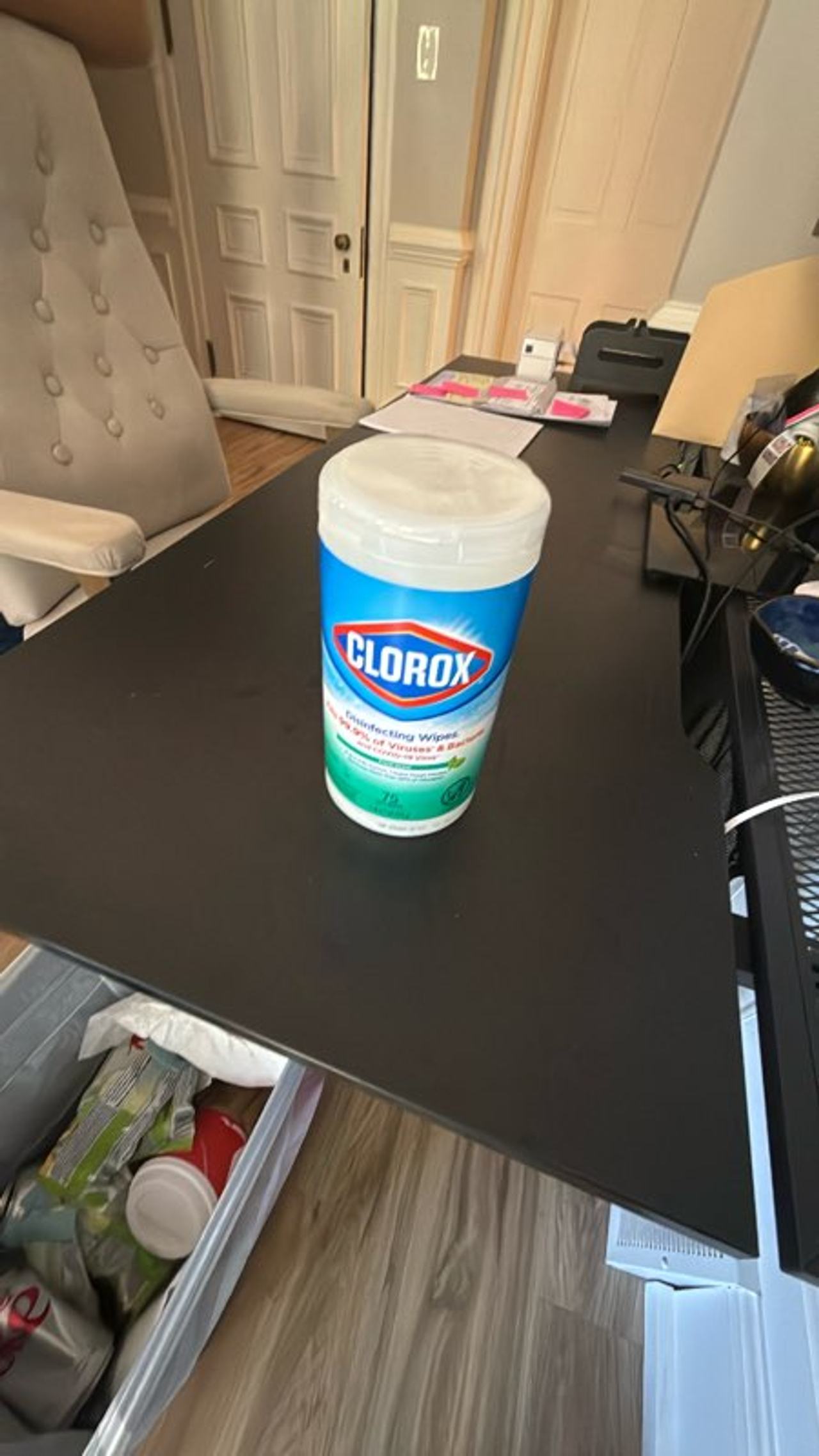 Clorox Disinfecting Wipes