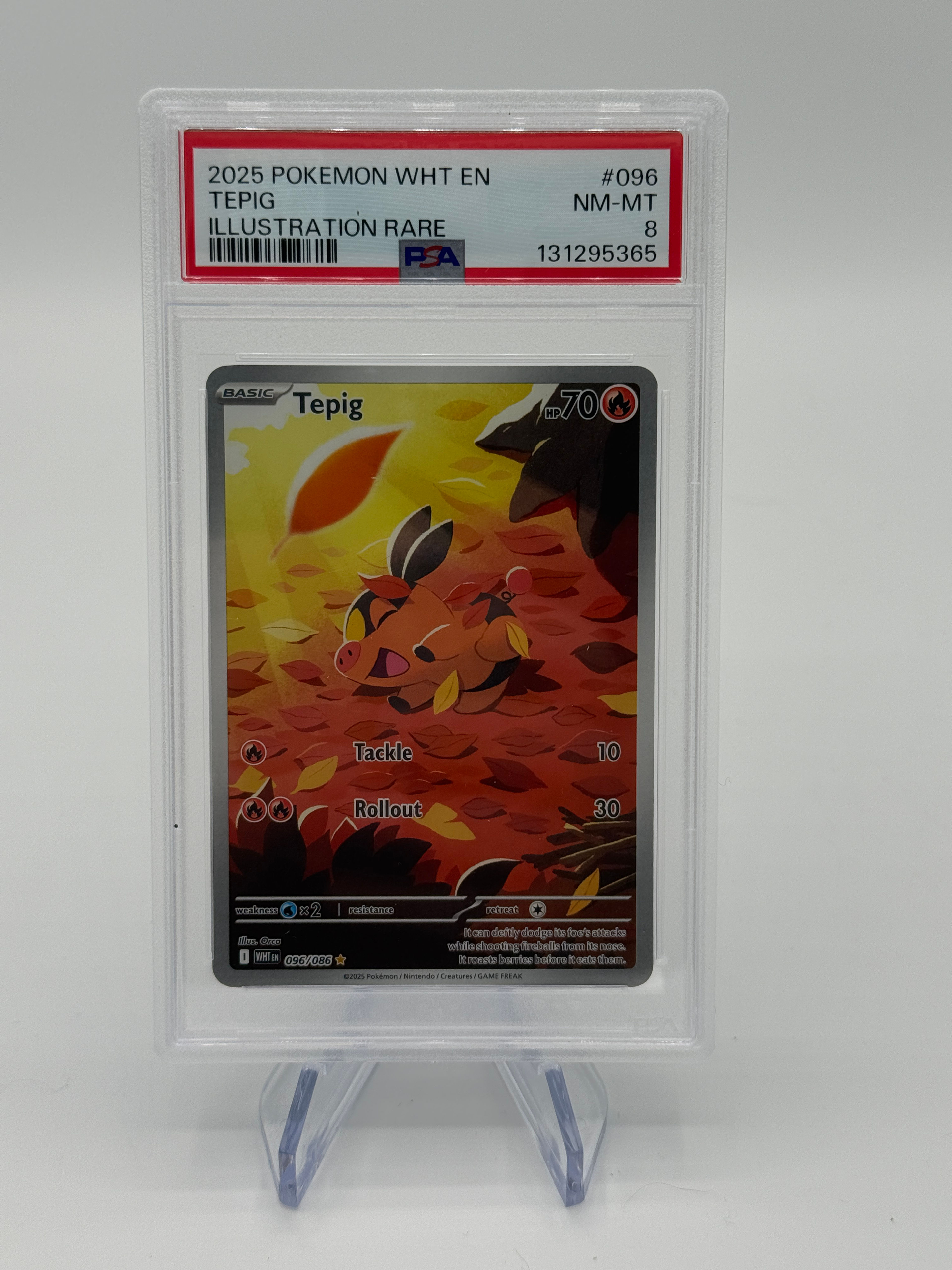 Pokémon TCG Tepig Illustration Rare Stellar Crown PSA 8