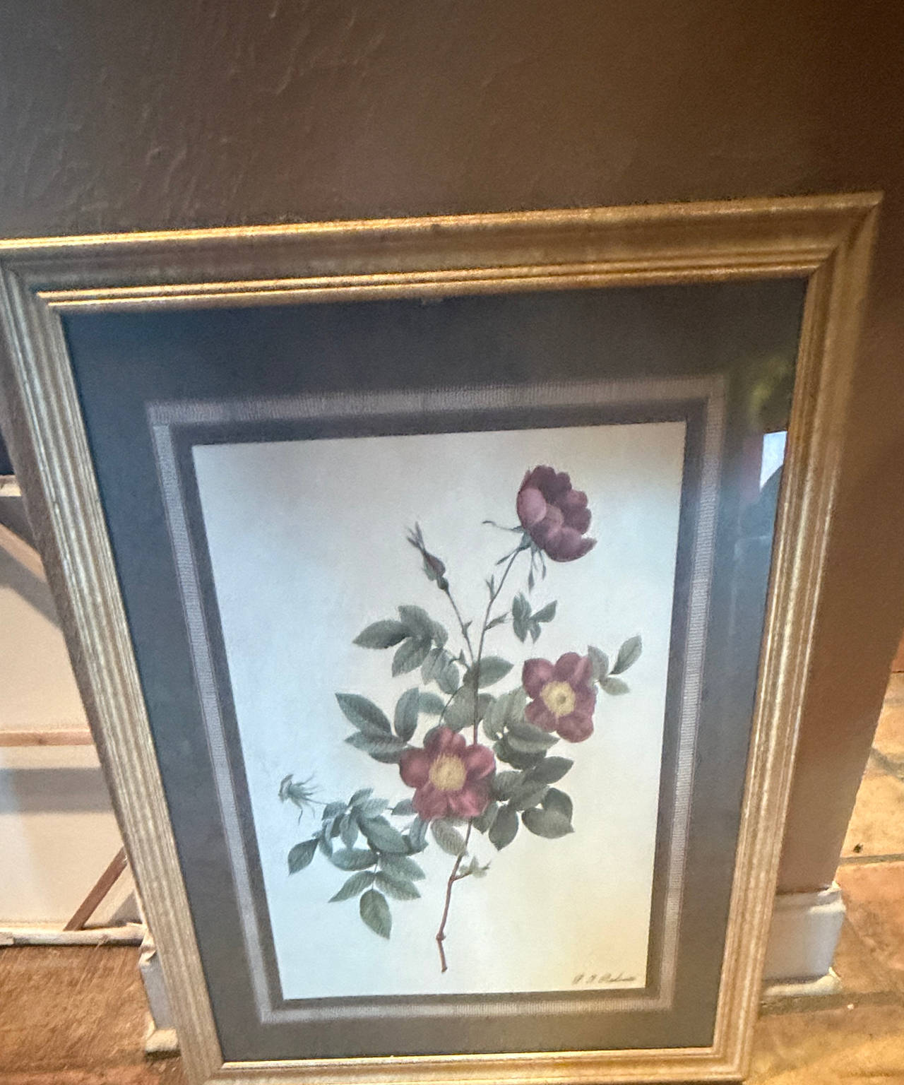 Pierre-Joseph Redouté Framed Botanical Rose Print