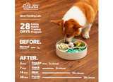 Puzzle Feeder Slow Feeder Dog Bowl - 9.8 Inches, Dry, Wet & Raw Food, Mealtime - Image 6