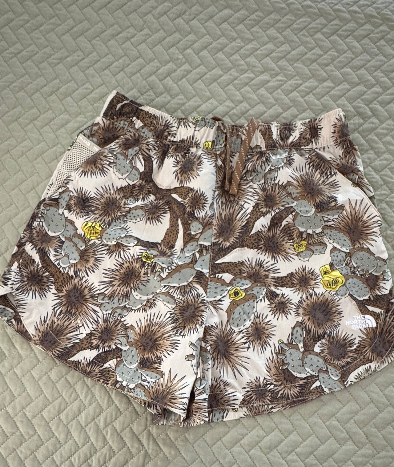 The North Face Women's Class V Water Short Joshua Tree Print