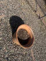 Terracotta Clay Pot - Image 3