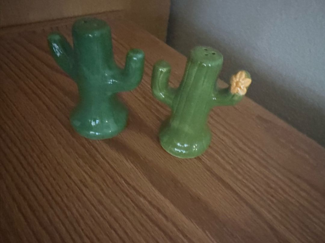Vintage Ceramic Green Cactus Salt & Pepper Shakers
