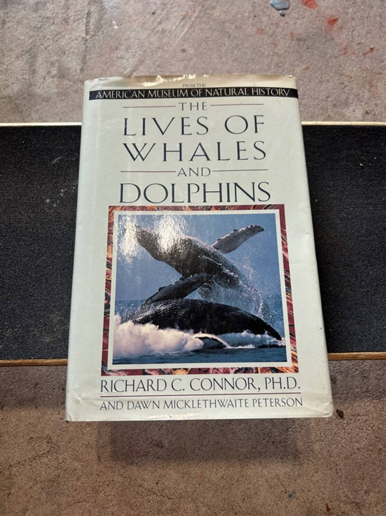 The Lives of Whales and Dolphins