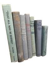 Vintage Blue Book Stack Decorative Set - Image 4