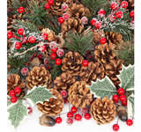 Christmas Pine Cones for Crafts Decorations 50PCS Natural Pine Cones - Image 1