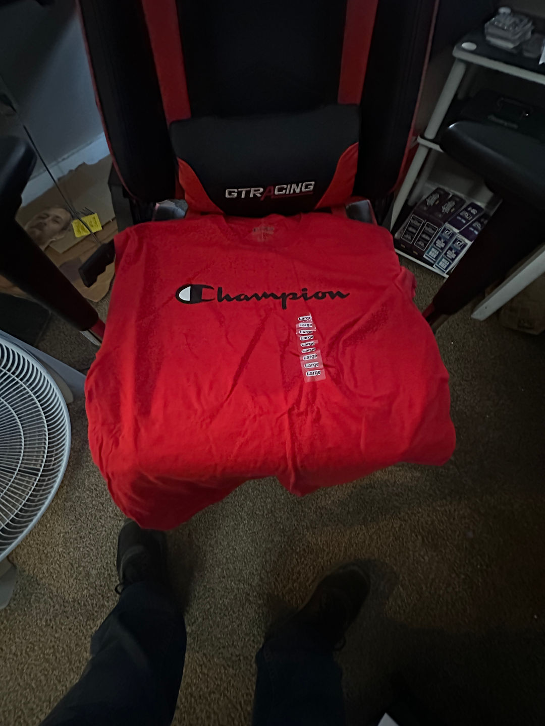 Champion Men's Classic Graphic T-Shirt