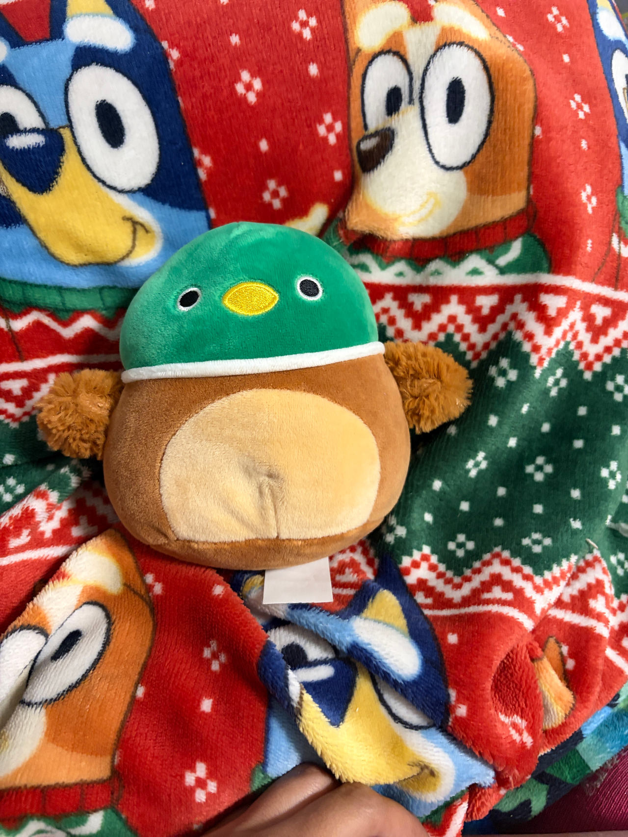 Squishmallows Avery the Mallard Duck 5" Plush