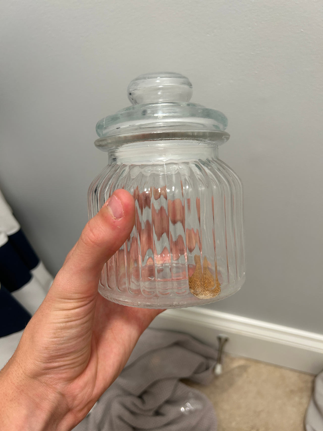 Glass Apothecary Jar