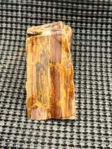 Petrified Wood Brown Slab - Image 4