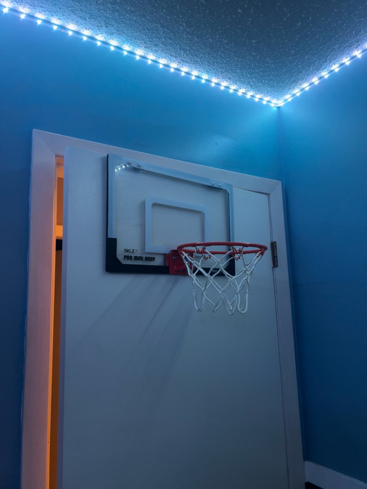 SKLZ Pro Mini Hoop