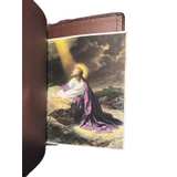 Holman Rainbow Study Bible Color Coded Church Leather Read - Image 5