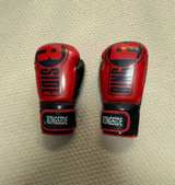 Ringside Apex Bag Gloves Red/Black - Image 2