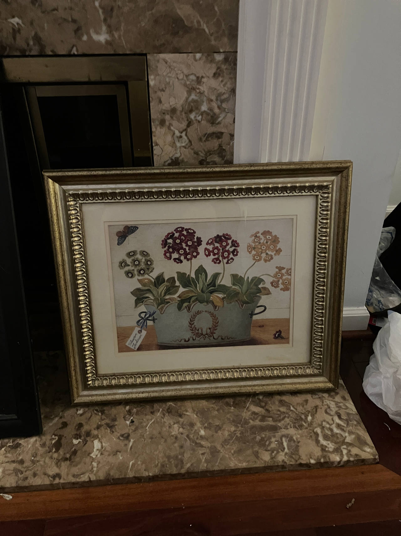 Framed Floral Art Print