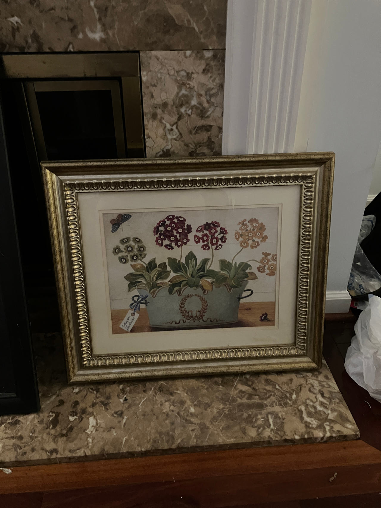 Framed Floral Art Print