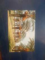 Vintage Petley Studios Bob Petley Postcard - Dates Ready for Harvesting - Image 1