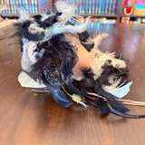 Vintage Ceramic Feathered Lady Mask Wall Decor - Image 2