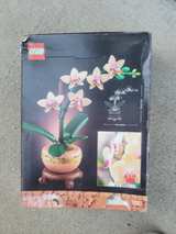 LEGO Botanical Collection Mini Orchid 10343 - Image 3