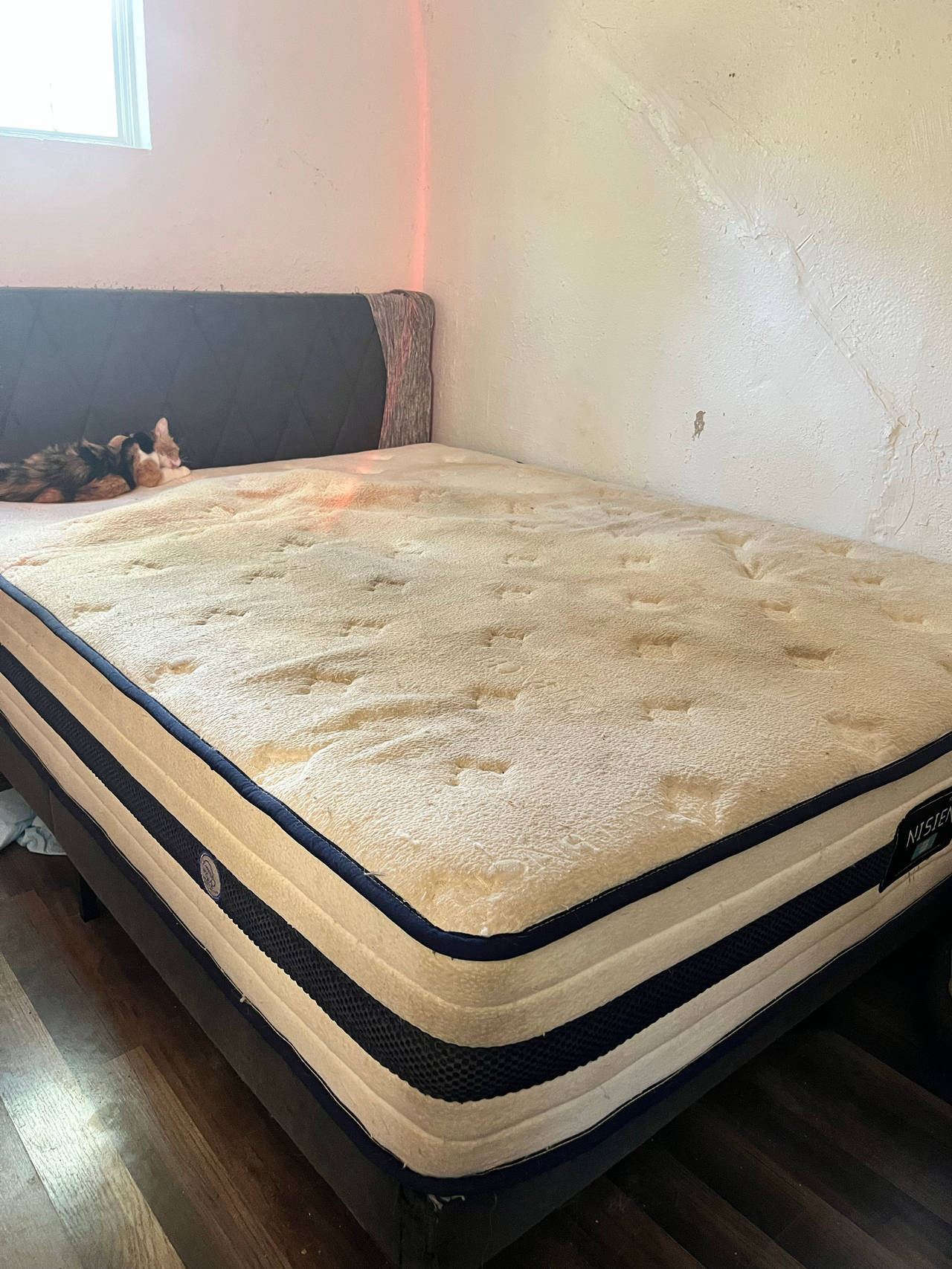 Niswanger Mattress and bed frame