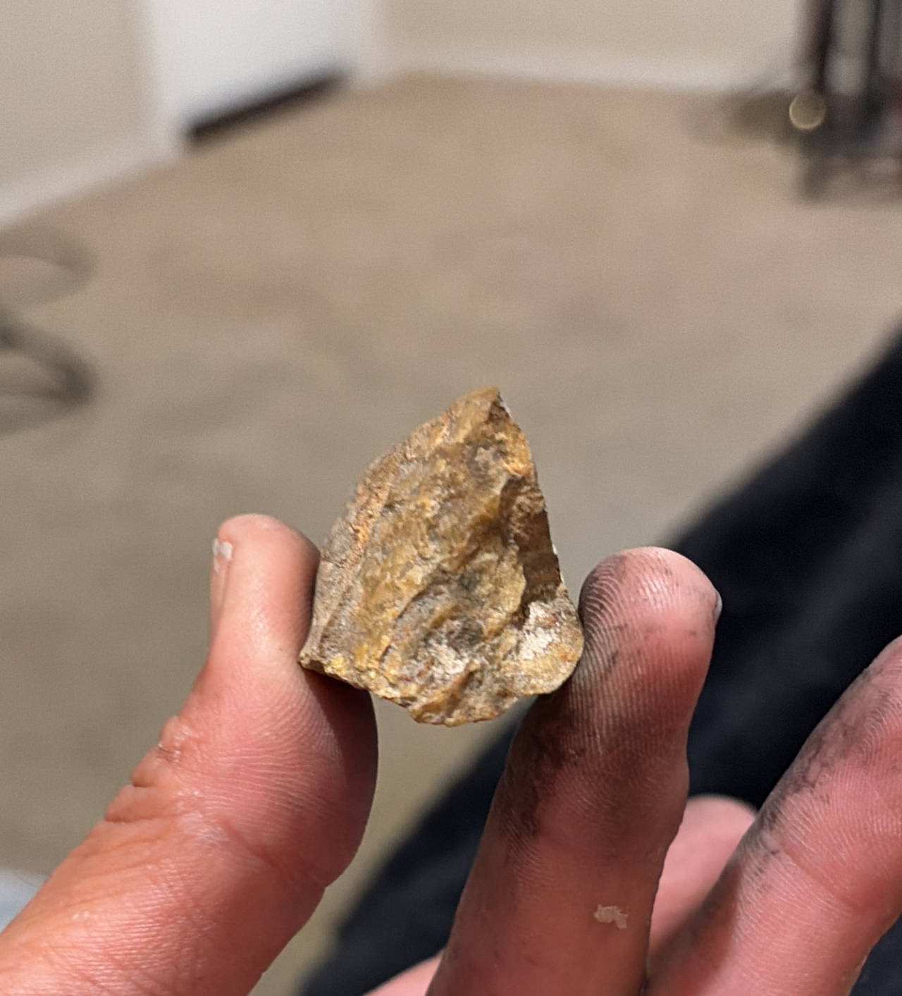 Native American Arrowhead Fragment