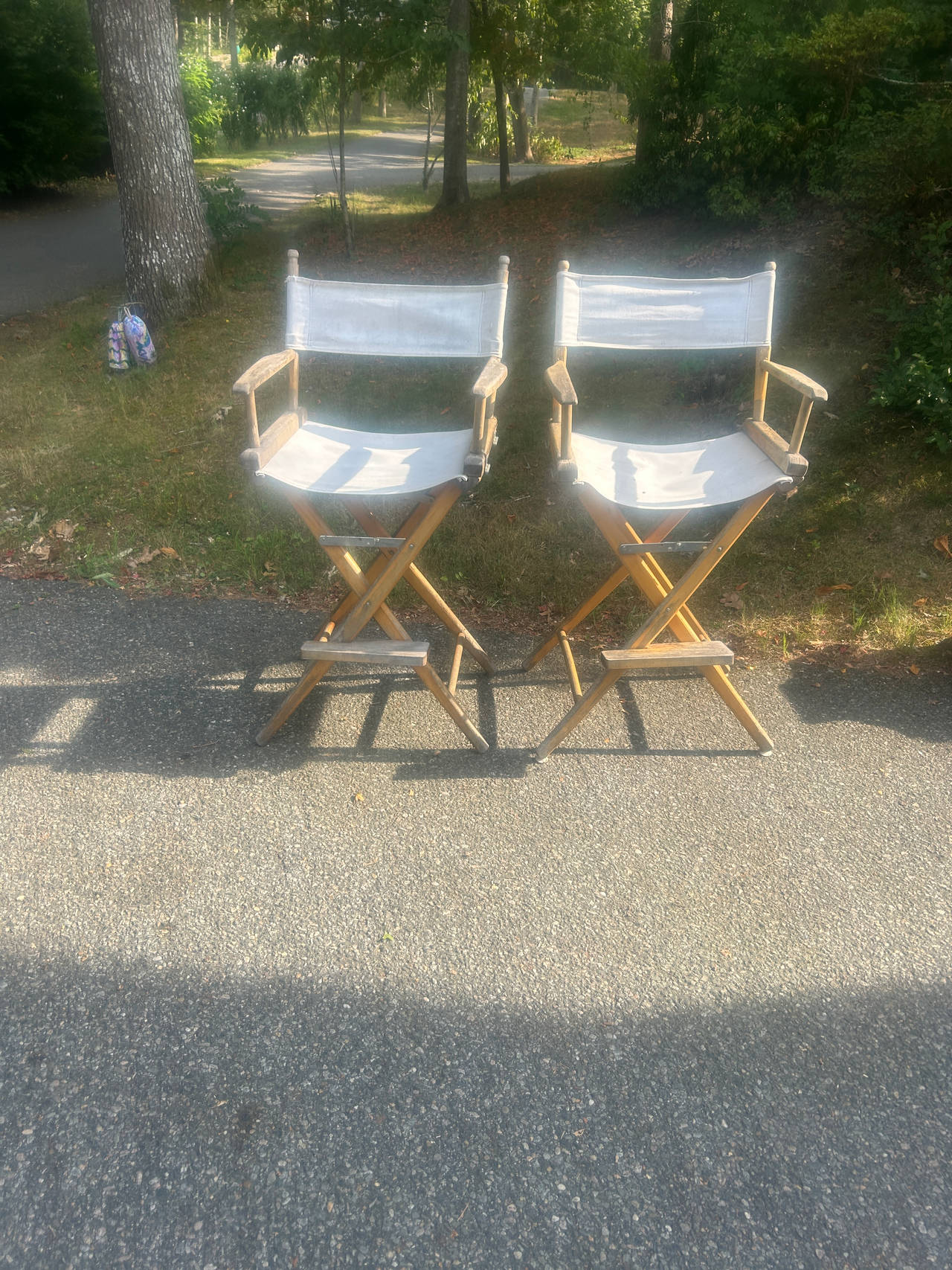 Director's Chair