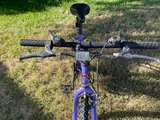 Roadmaster Mountain Bike - Image 4