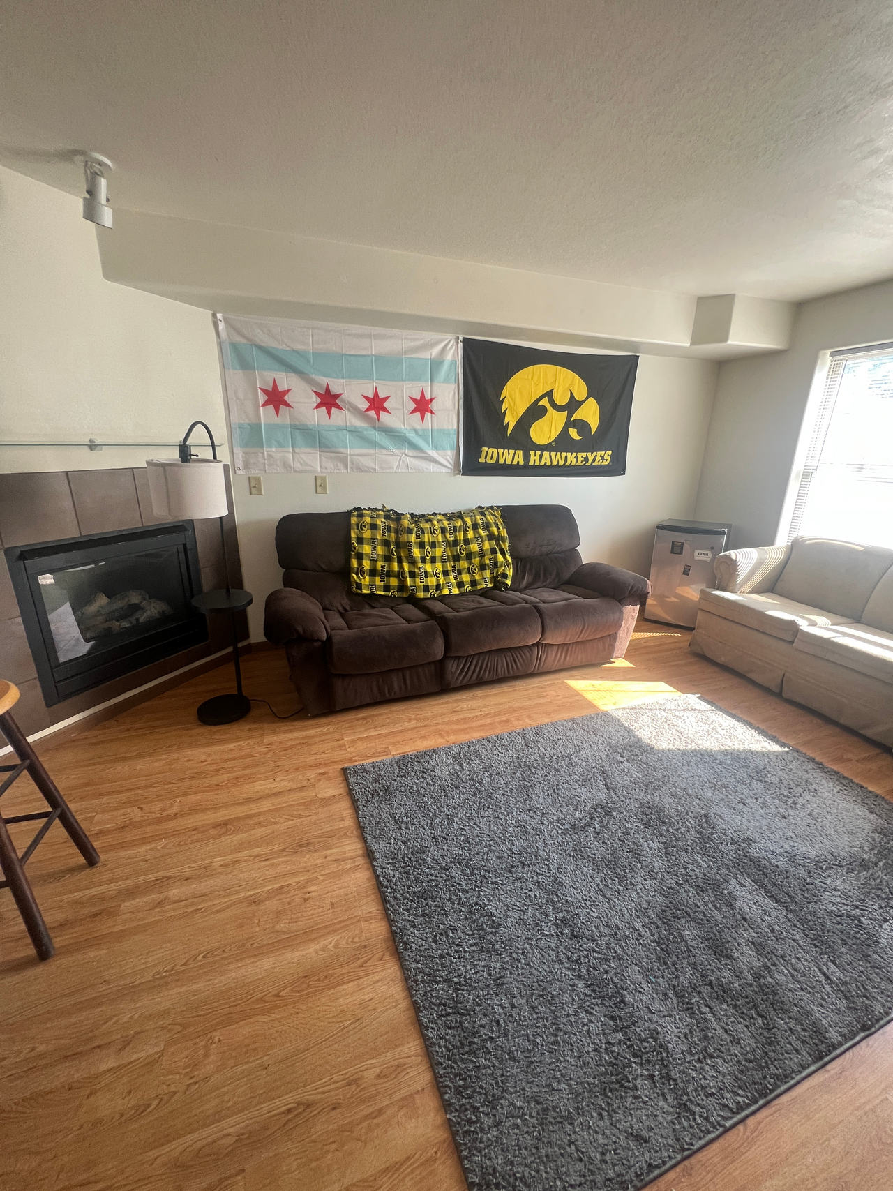Reclining Sofa