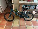 Redline Roam 20" BMX Bike - Image 1